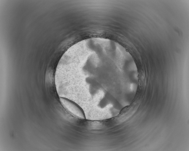 X0000110990287200907171758