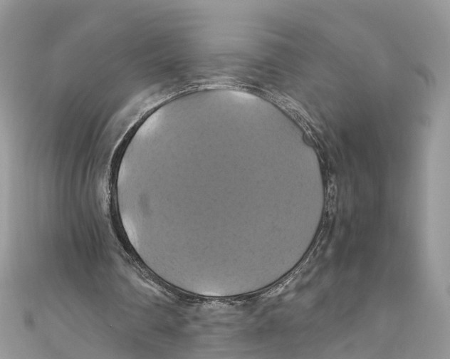 X0000110990290200907171757
