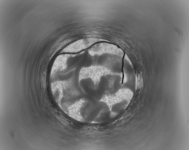 X0000110990291200907171757