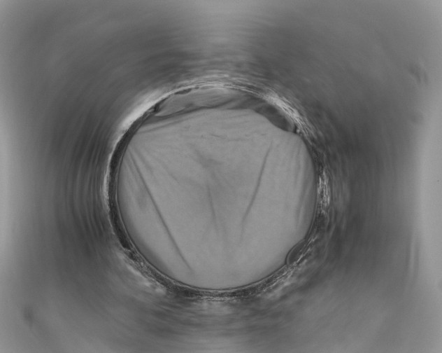 X0000110990292200907171757