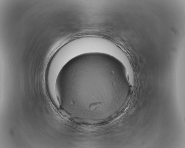 X0000110990293200907171757