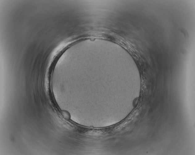 X0000110990294200907171757