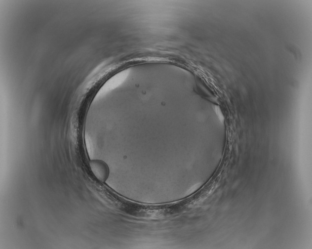 X0000110990295200907171757