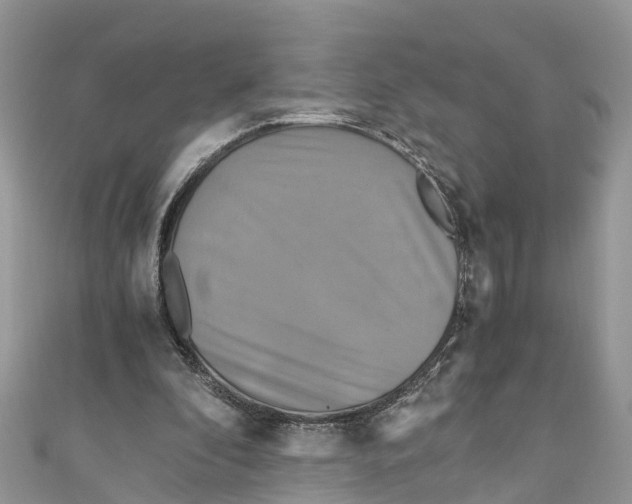 X0000110990296200907171757