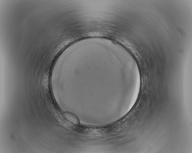 X0000110990297200907171757