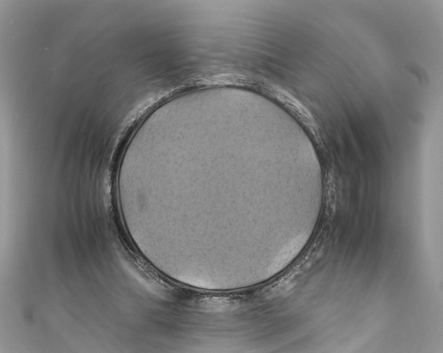 X0000110990298200907171757