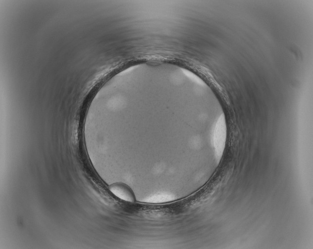 X0000110990299200907171757