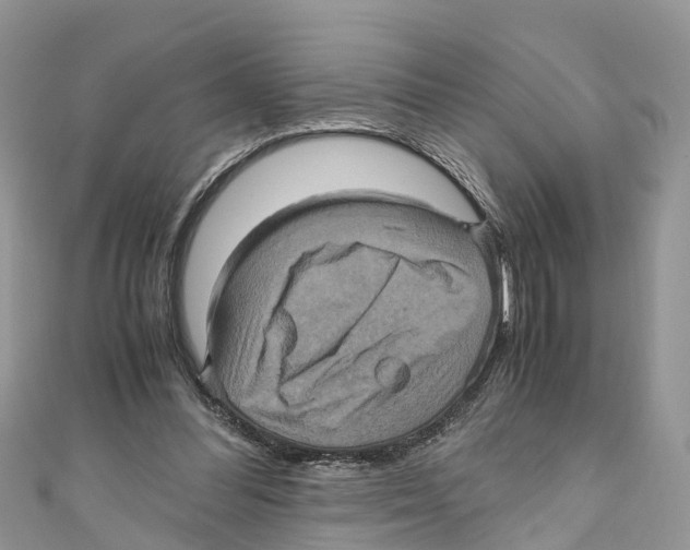 X0000110990300200907171757