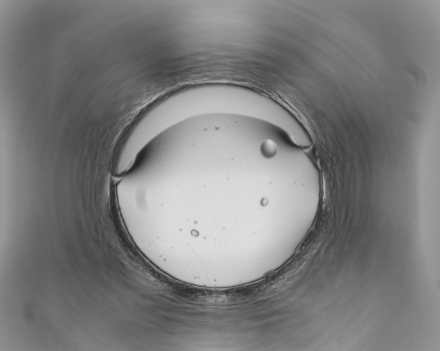 X0000110990301200907171757