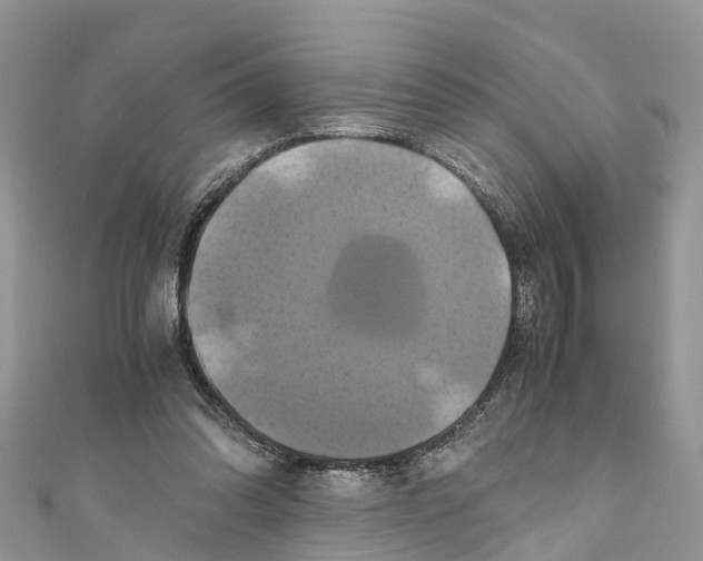 X0000110990302200907171757