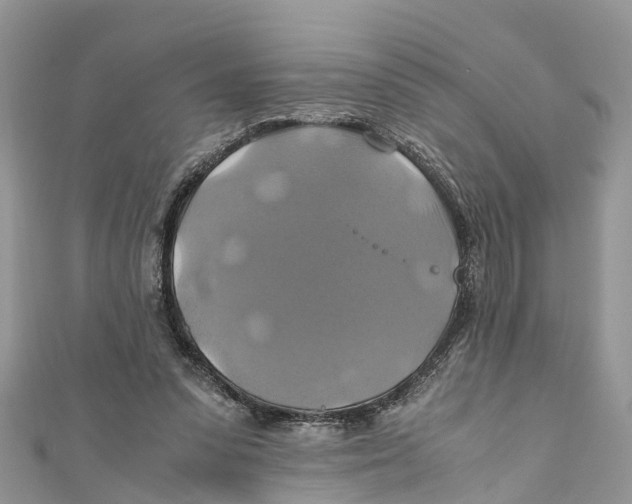 X0000110990303200907171757
