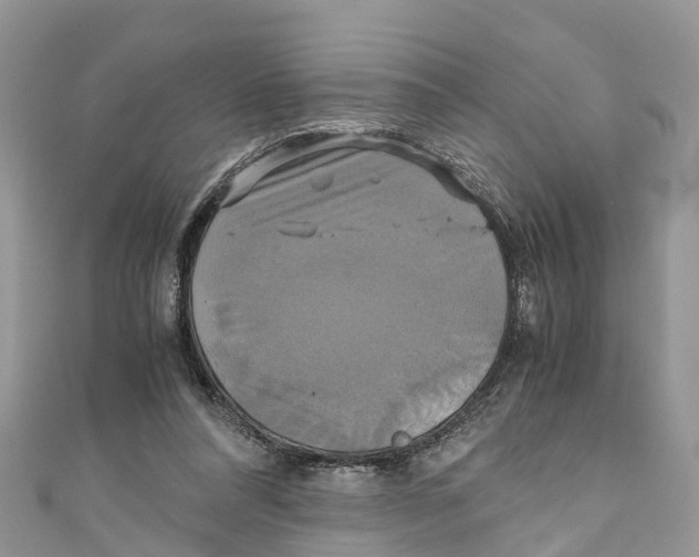 X0000110990304200907171757