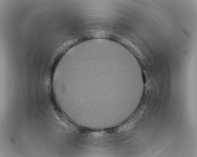 X0000110990306200907171757