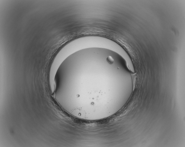 X0000110990309200907171757