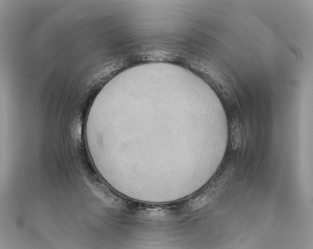 X0000110990310200907171757