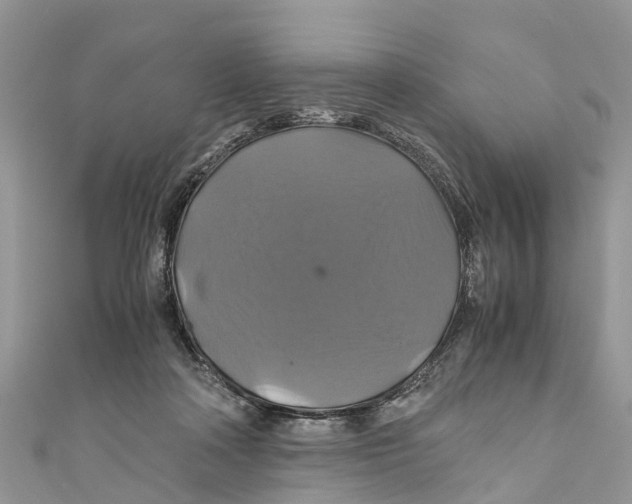 X0000110990314200907171757