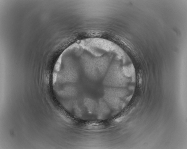 X0000110990315200907171757