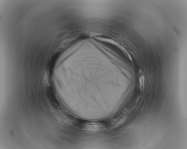X0000110990316200907171757