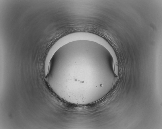 X0000110990317200907171757
