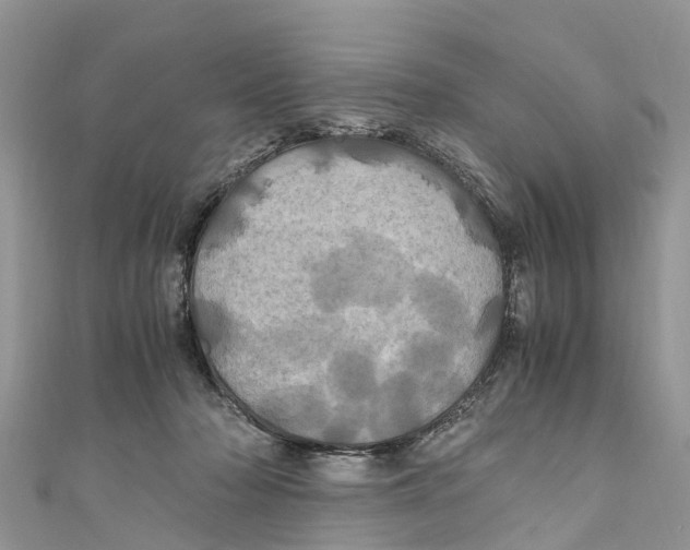 X0000110990318200907171757
