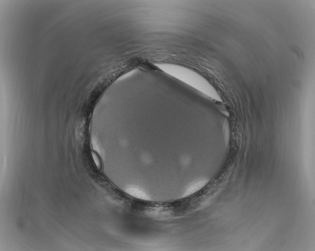 X0000110990319200907171757
