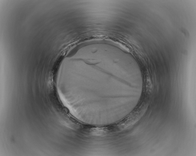 X0000110990320200907171757