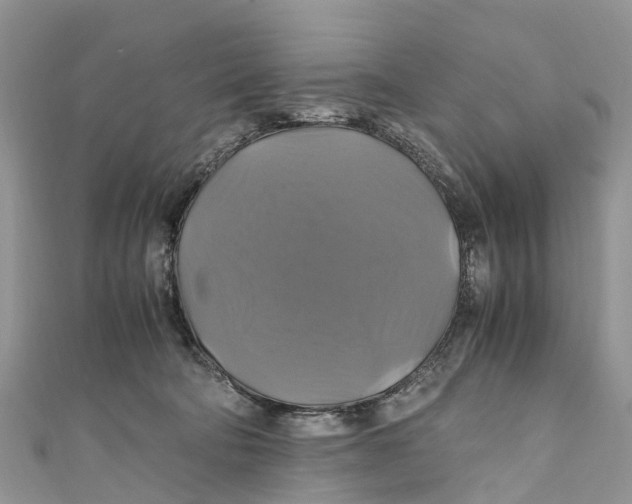 X0000110990322200907171757