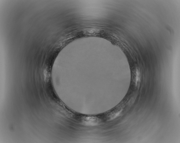 X0000110990324200907171757