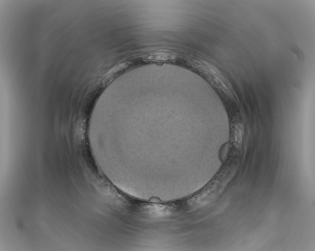 X0000110990326200907171757