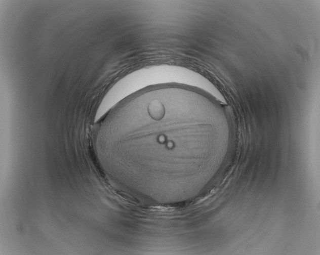 X0000110990328200907171757