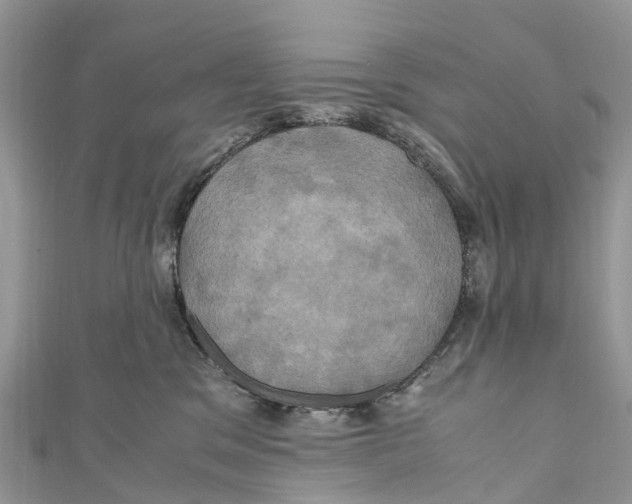 X0000110990329200907171757