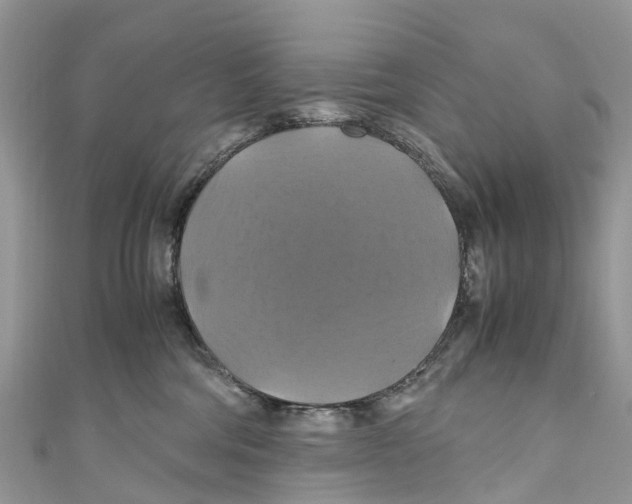 X0000110990330200907171757