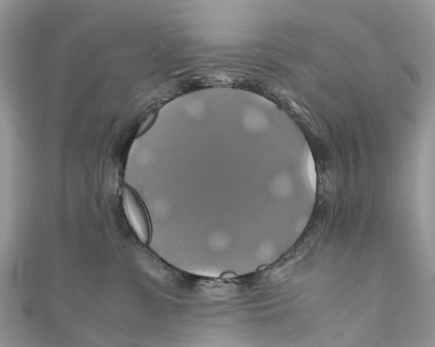 X0000110990331200907171757