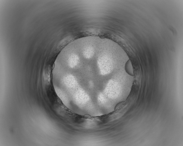X0000110990334200907171757