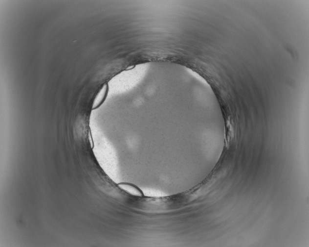 X0000110990335200907171757