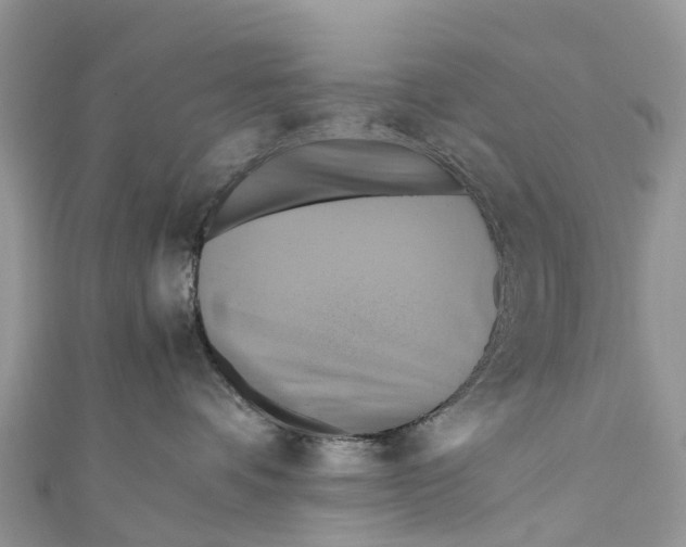 X0000110990336200907171757
