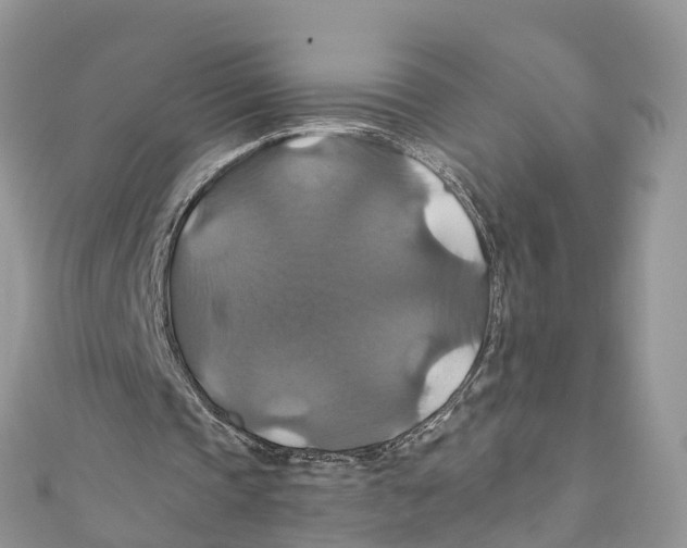 X0000110990337200907171756
