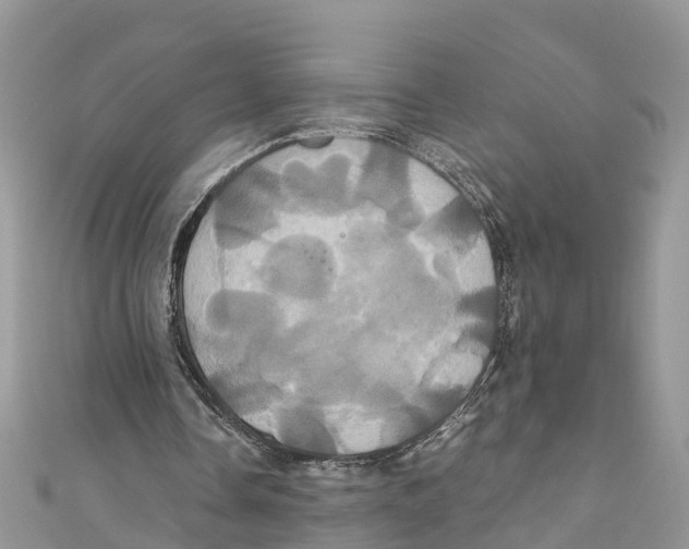 X0000110990338200907171756