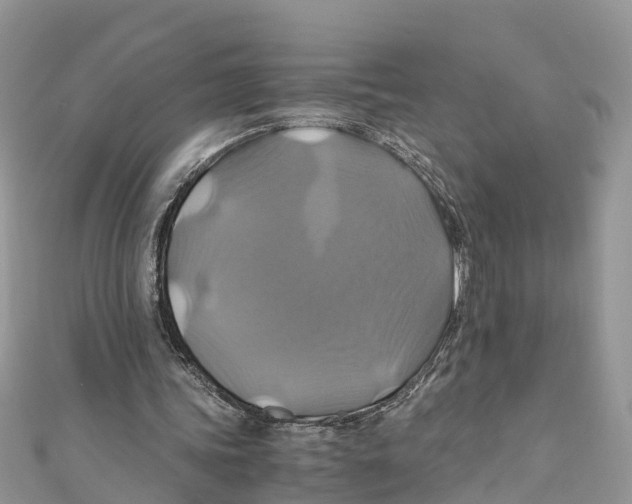 X0000110990339200907171756