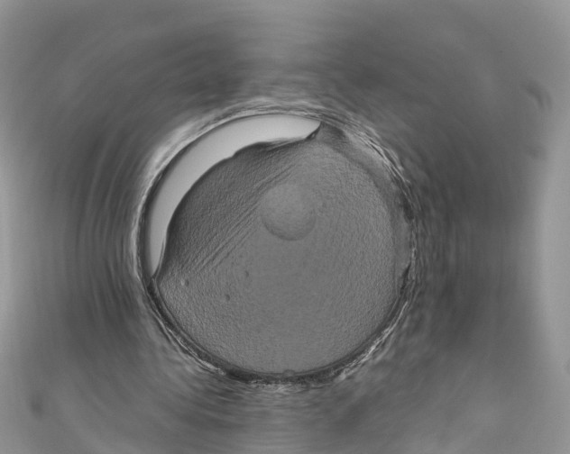 X0000110990340200907171756