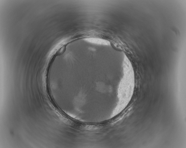 X0000110990341200907171756
