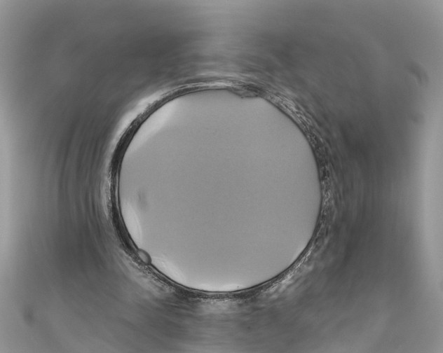X0000110990342200907171756