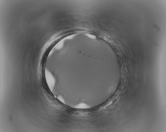 X0000110990343200907171756