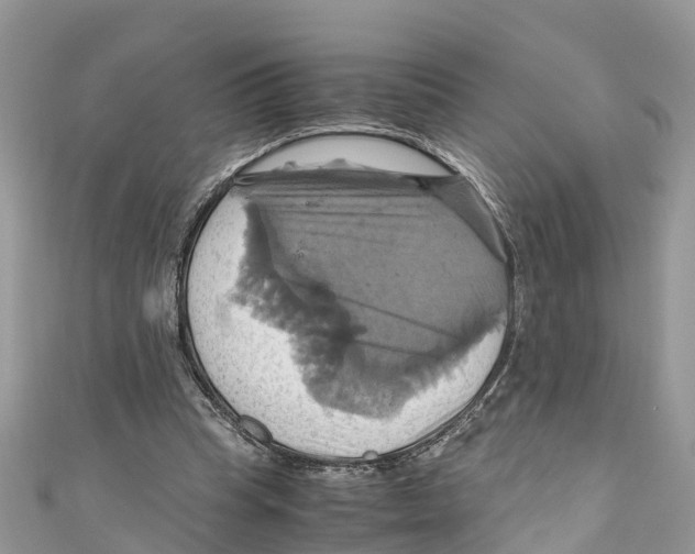 X0000110990345200907171756