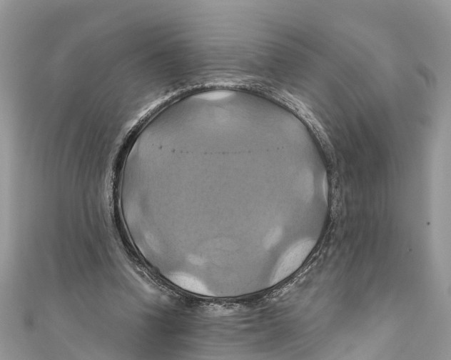 X0000110990346200907171756