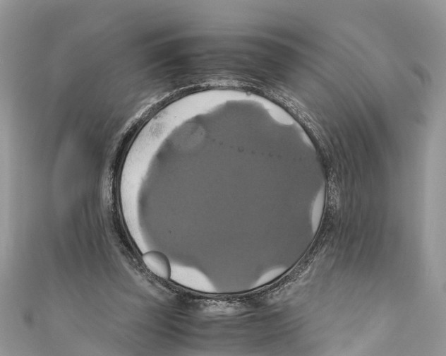 X0000110990347200907171756