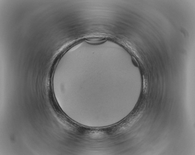 X0000110990348200907171756