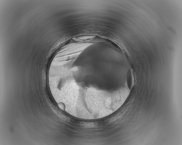 X0000110990349200907171756
