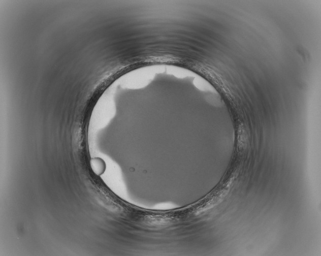 X0000110990351200907171756