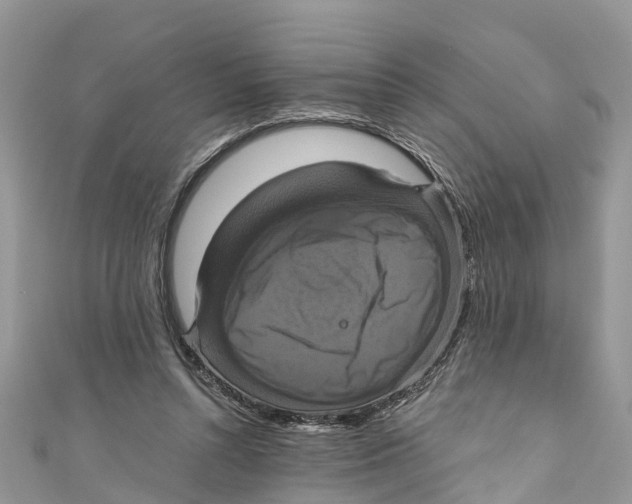 X0000110990352200907171756